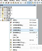 Aqua Data Studio删除服务器组