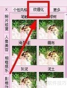 isee专家教你照片纹理化技巧