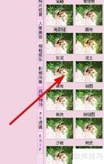 isee专家教你照片纹理化技巧