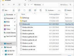 Windows 11搜索索引异常重建立致CPU飙升与SSD损耗