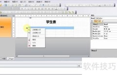 FastReport表格控件使用技巧