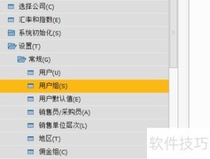 SAP B1用户组管理指南