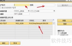 SAP Business One登录指南