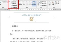 Word简繁转换技巧