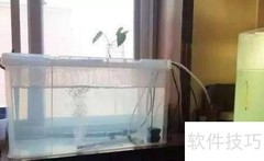 自来水养鱼全攻略