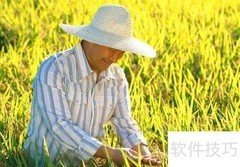 对接农业专家的实用指南