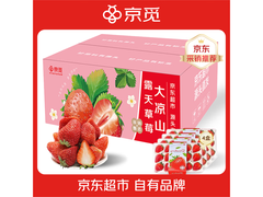 京觅四川大凉山草莓礼盒，满30减7券后34.9元！