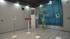 成功挑战火焰山最长时间稳定制冷！海尔AI空调再创纪录