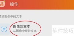Office图形转文本技巧