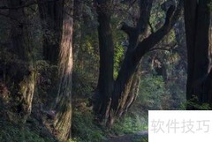 曾家山滑雪场游玩指南