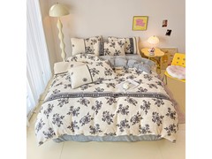 多兰诗秋冬牛奶绒四件套低至99元！