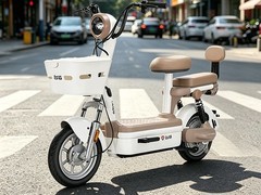台铃大果粒电动车活动价低至1753元