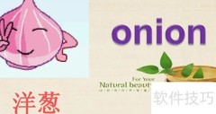 洋葱英语发音怎么读