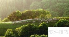 韩流热潮持续席卷