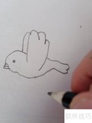 如何画飞翔的小鸟