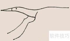 飞翔大雁简笔画教程