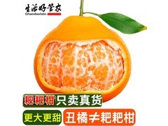 四川春见耙耙柑4.5斤装，原价21.9元，券后16.9元！