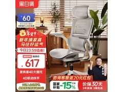 黑白调P2人体工学椅543元