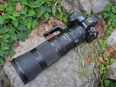 尼康 Z6III 的高像素和高速连拍能否满足生态摄影需求？