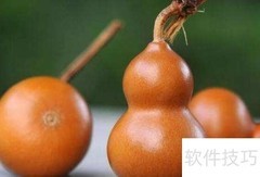 文玩葫芦挑选技巧