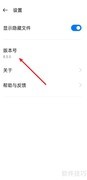 文件管理查看版本号方法