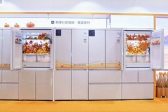 “十四五”创新成果公布，冰箱行业海尔唯一入选