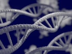 韩国团队研发出可逆构象DNA分子计算机，实现存算一体突破