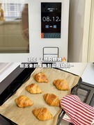 东芝/凯度/松下热门微蒸烤一体机横测，哪款最值得买？