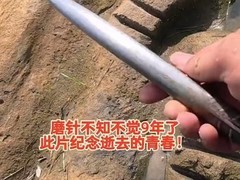 西安博主九年河石磨钢：以铁杵成针践行时间哲学