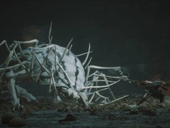 黑神话：悟空8月20日或推DLC及Xbox版本