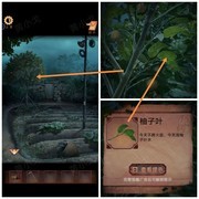 阴阳锅3阴缘牵：第三章夙昔图文攻略