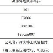 弹壳特攻队特工进阶必看技巧