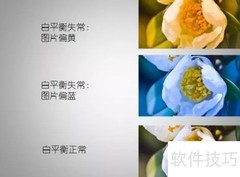 Mate S相机拍摄技巧