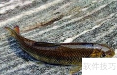 泰安特色小吃推荐