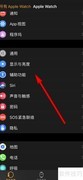 Apple Watch灰度设置方法