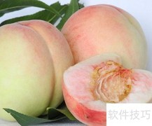 上海特产精选