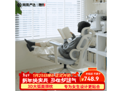 网易严选晨露灰小蛮腰人体工学椅低价购