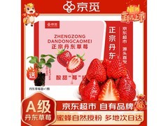 京觅丹东2斤装草莓，用券满19减5仅58.9元！