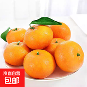 广西武鸣精品沃柑1斤装，到手仅5.9元尝鲜！