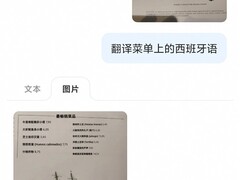 千问上线全球首个119语种图翻图直译功能，覆盖98%人口