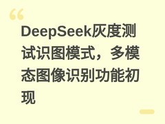 DeepSeek灰度测试识图模式，多模态图像识别功能初现
