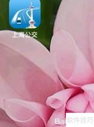 上海公交实时查询指南