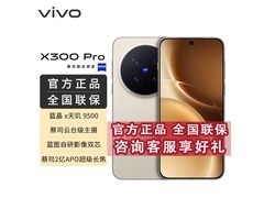 vivo X300 Pro 5G限时特惠