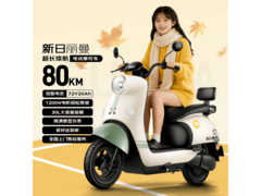 新日丽曼烟灰绿电动摩托2199