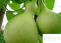 挑选葫芦的实用技巧