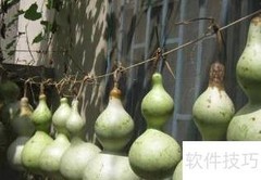 青葫芦变干葫芦的简易方法
