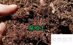 种大葫芦的秘诀