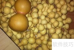 葫芦分类全解析