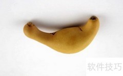 葫芦分类全解析