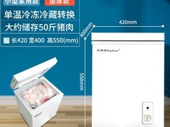 荣事达小冰柜立减139元，到手308元